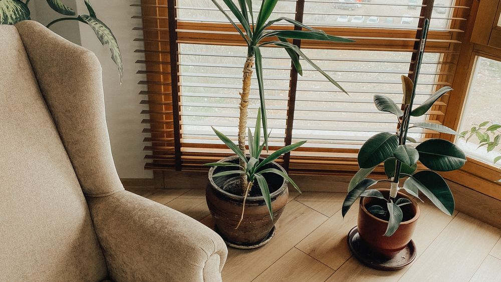 A beige armchair beside potted plants in front of a large window with wooden blinds, in soft daylight