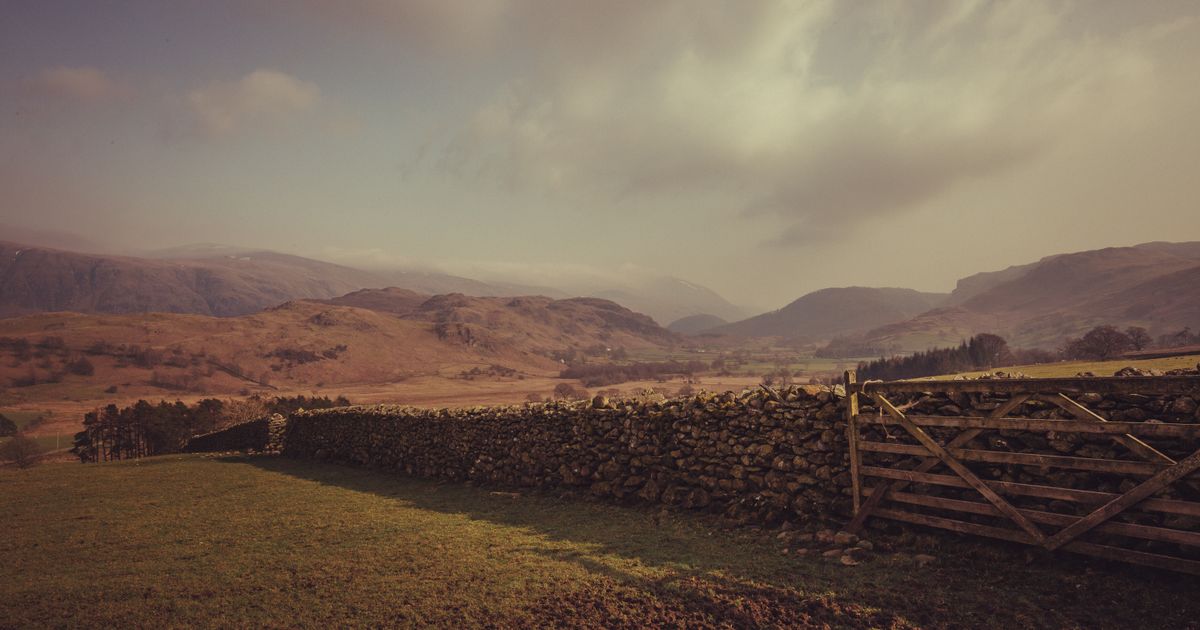 A dry stone wall with a wooden gate in it, running across a wide valley in warm light