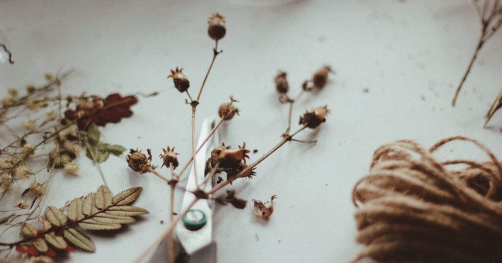 Dried seed heads, pressed leaves and a roll of twine laid out on a pale surface in soft daylight