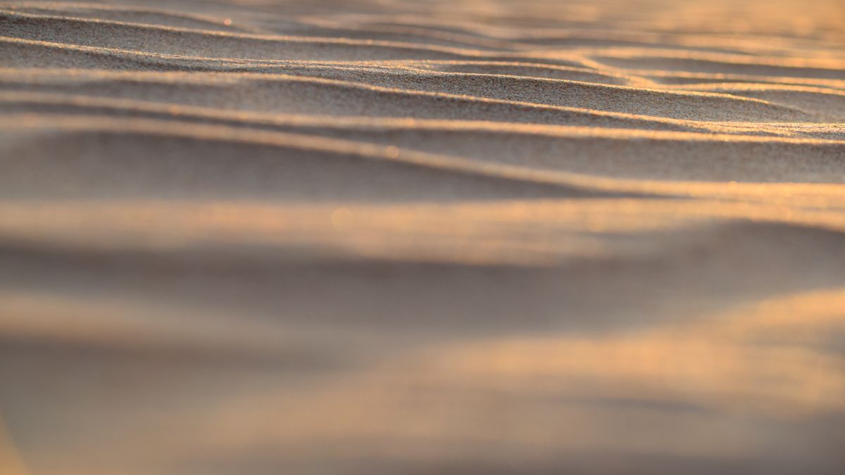 Close-up of fine sand ripples lit by low warm sunlight