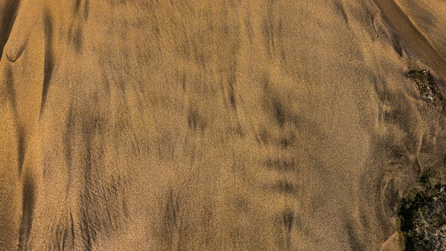 Ripple patterns left in wet sand by a retreating tide
