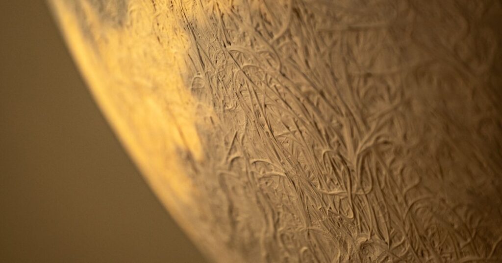 A curved textured surface in warm light, its fine lines visible from close up