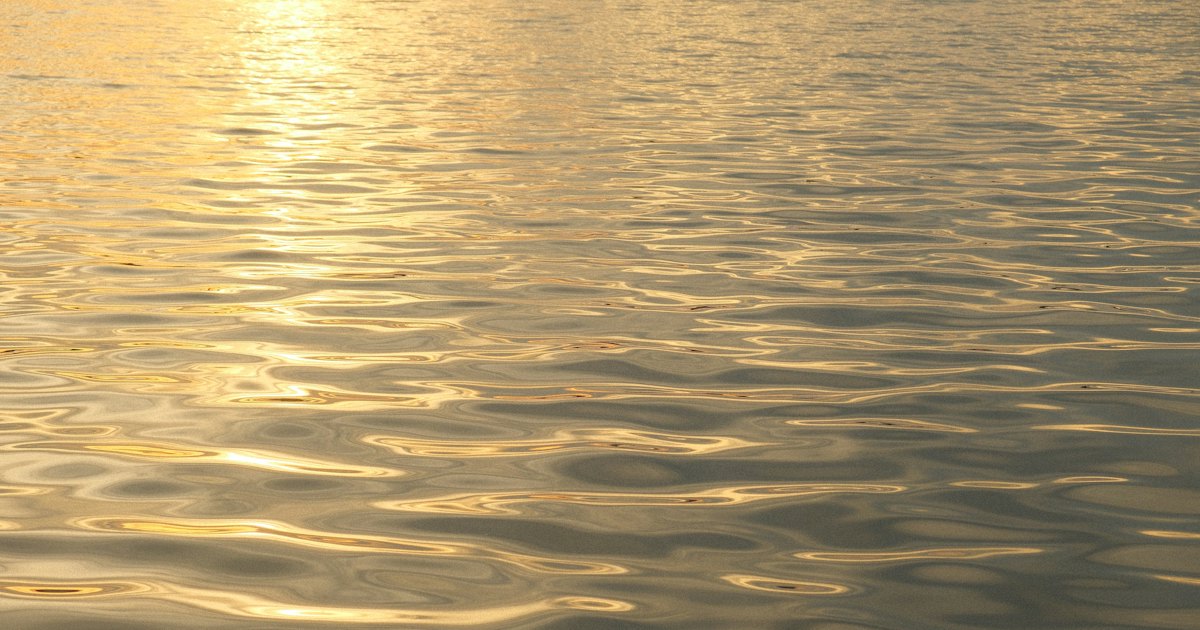 Gentle ripples across open water catching low golden light