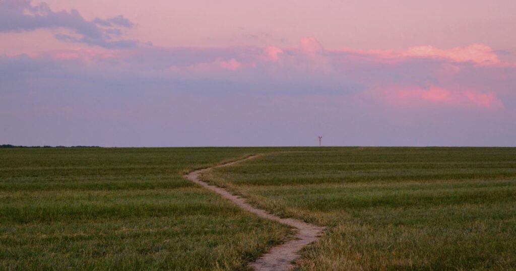 A dirt path winding through a grassy field under a soft evening sky