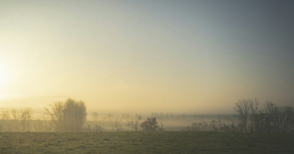 Low mist lying across an open field at dawn, with bare trees softened into the pale gold haze
