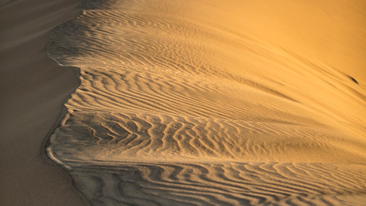 Rows of identical wind ripples running across a golden sand dune at low sun
