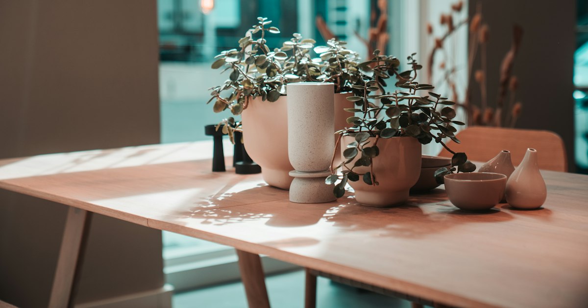 Morning sunlight falling across a wooden table holding potted plants and small ceramic vases