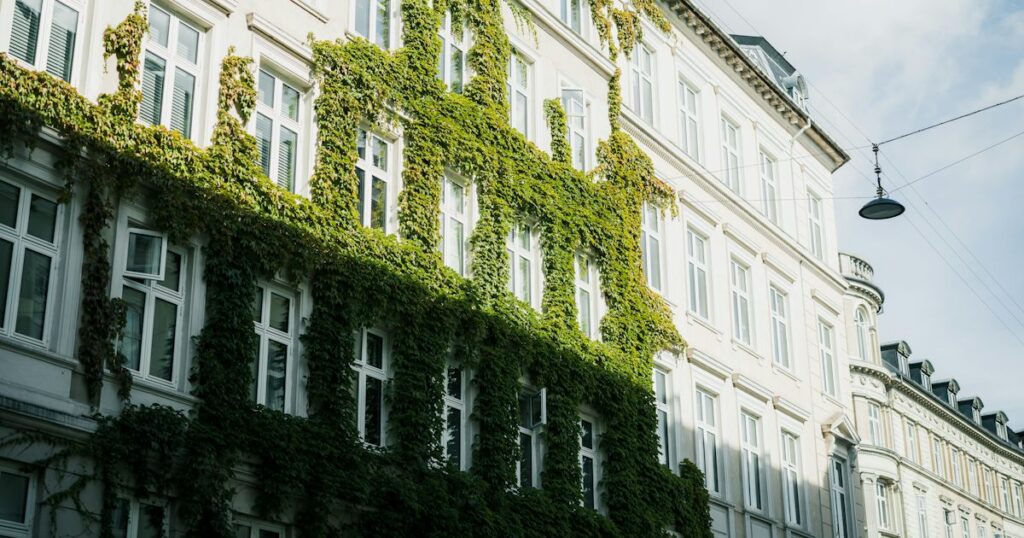 Pale Copenhagen apartment facade with green creeper growing across the tall windows
