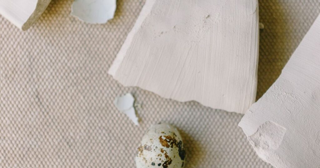 Fragments of eggshell and a speckled egg lying on woven pale cloth